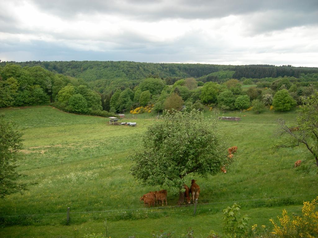 Landhaus Bad Bertrich Luaran gambar