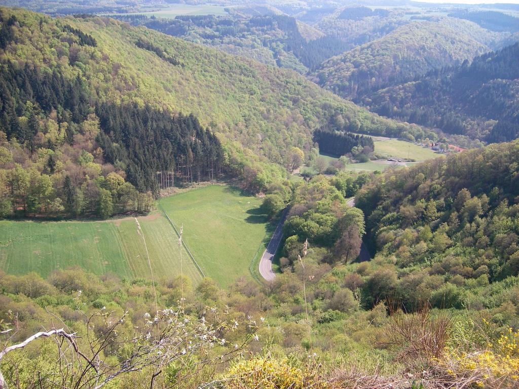 Landhaus Bad Bertrich Luaran gambar