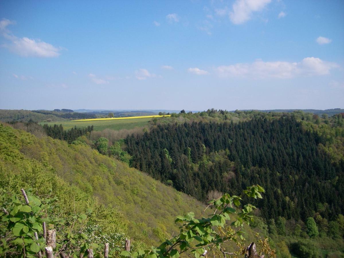Landhaus Bad Bertrich Luaran gambar